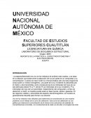 REPORTE DE LA PRÁCTICA 4.- ESPECTROFOTOMETRÍA Y ELECTROFORESIS