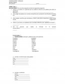 COLEGIO MIXTO MAYA AGUACATECO COMUNICACIÓN Y LENGUAJE