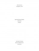 Informe de lectura cáncer colorectal