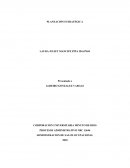 PLANEACIÓN ESTRATÉGICA. ADMINISTRACION DE SALUD OCUPACIONAL