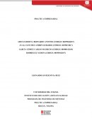 PROGRAMA DE INGENIERA DE SISTEMAS PRÁCTICA EMPRESARIAL