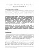 VIVIENDAS ECOLOGICAS CON MATERIALES ASEQUIBLES EN EL TERRITORIO COLOMBIANO