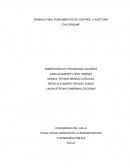 TRABAJO FINAL FUNDAMENTOS DE CONTROL Y AUDITORIA “CALFERQUIM”