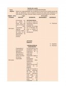 TALLER DE PLANIFICACION. ELIGIENDO UN CAMINO RESPONSABLE