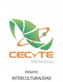 SOCIEDAD INTERCULTURAL