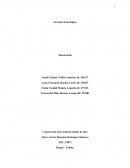 Gerencia Estratégica Matriz Dofa