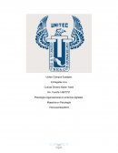 Psicología organizacional en entornos digitales