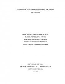 TRABAJO FINAL FUNDAMENTOS DE CONTROL Y AUDITORIA “CALFERQUIM”. Página 1