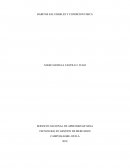 La salud y la seguridad laborales