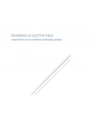 Cuadro Sinóptico Problemas Ambientales