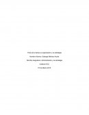 CONTROL 2 ADMINISTRACION ESTRATEGICA