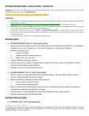 SISTEMA RESPIRATORIO, CIRCULATORIO Y EXCRETOR