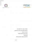 Experimento: Muñeco bobo de Albert Bandura