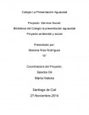 Proyecto ambiental y social