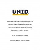 Ensayo sobre la importancia del marketing