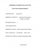 Calorimetría de Combustión II. Entalpia de combustión