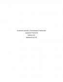 Accidentes Laborales y Enfermedades Profesionales