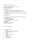 Planificacion anual por competencias- Plastica visual- primaria