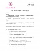 Análisis de un puesto de trabajo