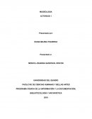 PROGRAMA CIENCIA DE LA INFORMACIÓN Y LA DOCUMENTACIÓN, BIBLIOTECOLOGÍA Y ARCHIVÍSTICA