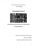 Ensayo sobre los patrones básicos del comportamiento “La cultura Mexicana”