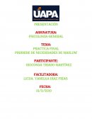 Practica Final Pirámide de necesidades de Maslow