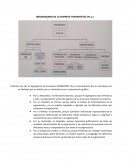 ORGANIGRAMA DE LA EMPRESA TRANSPORTES JPs.a.s