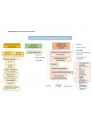 Organigrama organización instituciones educación