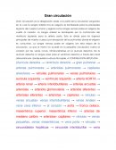 LA GRAN CIRCULACION