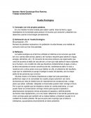 Trabajo extraordinario Huella Ecológica