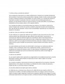 ¿Cómo se hace un estudio de sombras?