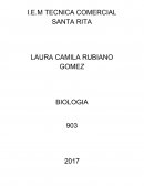 LABORATORIO. OBSERVACION DE LA SANGRE