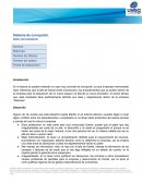 Sistema de corrupción empresa “Delicioso”