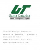 Porter , empresa Autozone