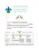 Curva glucosa. Directrices para el diagnóstico de diabetes