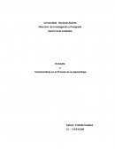 Adulto y características en el proceso de su aprendizaje