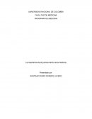 Importancia de la quimica dentro de la medicina