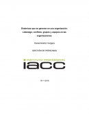 Dinámicas que se generan en una organización: Liderazgo, conflicto, grupos y equipos en las organizaciones
