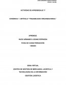 EVIDENCIA 1: ARTÍCULO “TRAZABILIDAD ORGANIZACIONAL”