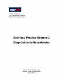 Actividad Práctica Semana 2 Diagnóstico de Necesidades