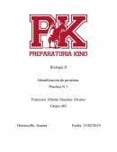 Biología II Identificación de proteínas Practica N.1