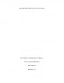 La comunicación en la vida humana