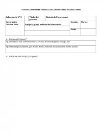 PLANILLA INFORME TEÓRICO DE LABORATORIO PARACETAMOL. Página 1