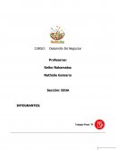 CURSO: Desarrollo De Negocios