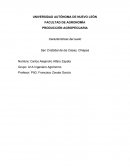 Características del suelo en San Cristóbal de las Casas, Chiapas, México