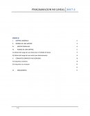 Programacion No Lineal