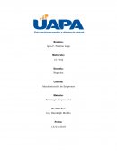 Depto. Extranjeria, Direccion General de Migracion