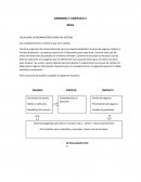 VISUALIZAR LA ORGANIZACIÓN COMO UN SISTEMA