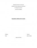 Seguridad y defensa de la nación