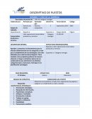 Rrhh. Líder de category manager